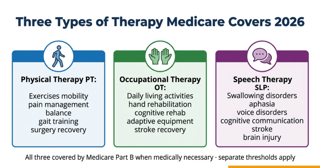 physical therapy cost with medicare 2026 original medigap advantage comparison
